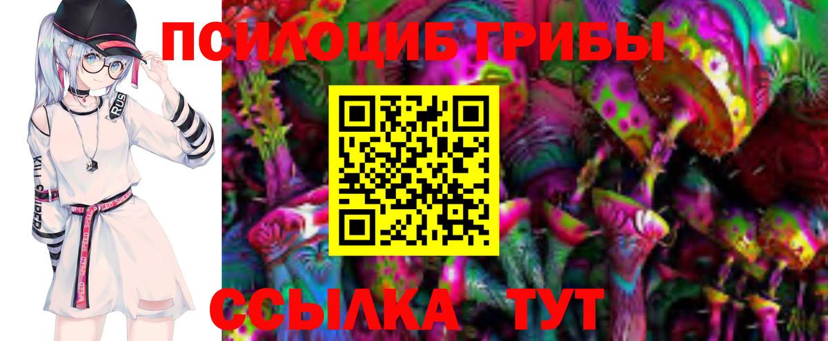 Псилоцибиновые грибы Psilocybe  Вход с VPN  Печора 